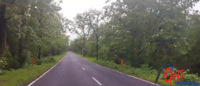 The tree is inviting accidents