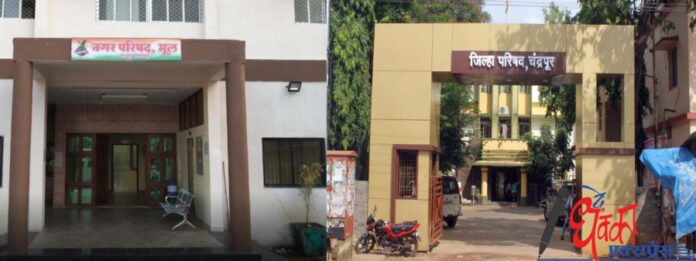 Zilla Parishad, Nagar Palika elections