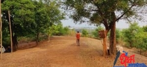 Buddhagiri Mul 3
