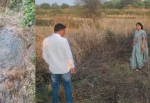 भाजीपाला उत्पादनासाठी शेतकऱ्यांनी केले 6 ठिकाणी पाईप लाईन गळती Mul Municipal Council Pipeline leak