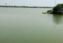 मालधक्क्यामुळे मत्स्य व्यवसायिकांवर उपासमारीची वेळ येणार Fisherman Mama Lake