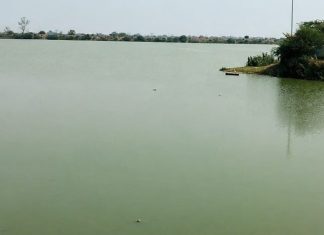 मालधक्क्यामुळे मत्स्य व्यवसायिकांवर उपासमारीची वेळ येणार Fisherman Mama Lake