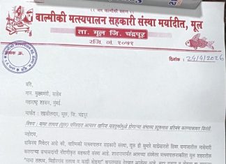 मालधक्क्यामुळे मत्स्य व्यवसायिकांवर उपासमारीची पाळी Fisherman Fisherman