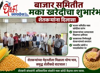 बाजार समिती मक्का खरेदीचा शुभारंभ Maize Procurement Maize Procurement